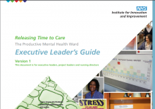 Executive Leaders Guide: (The Productive Mental Health Ward)